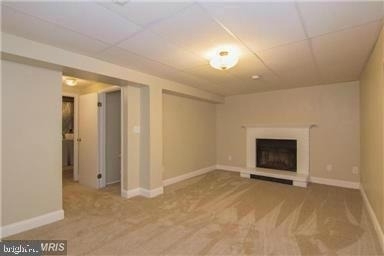 11556 Ivy Bush Court - Photo 14