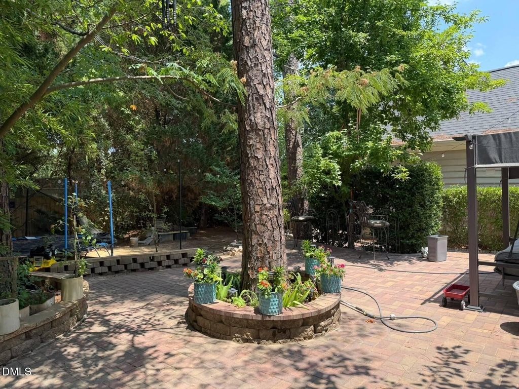 304 Star Magnolia Drive - Photo 23