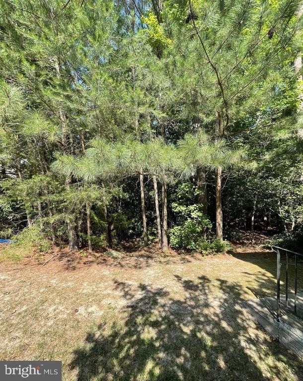 23435 Aster Way - Photo 34