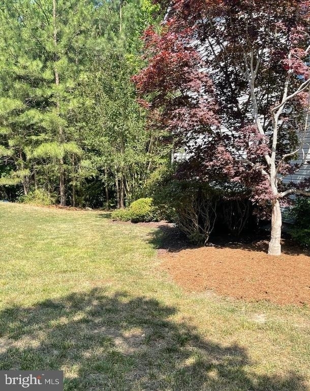 23435 Aster Way - Photo 33
