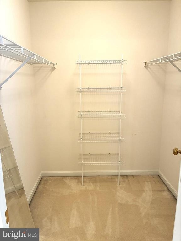 12923 Creamery Hill Drive - Photo 54