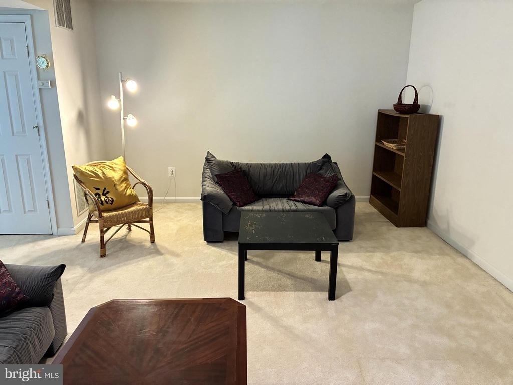 12923 Creamery Hill Drive - Photo 46