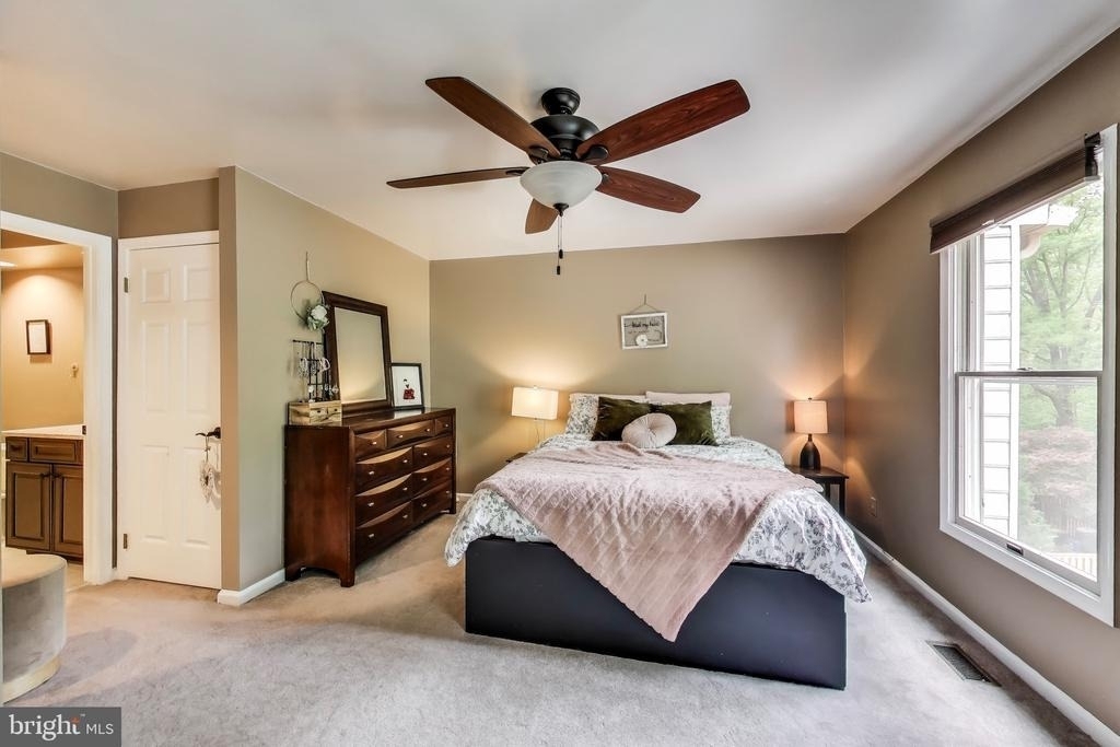 13630 Cedar Creek Lane - Photo 12