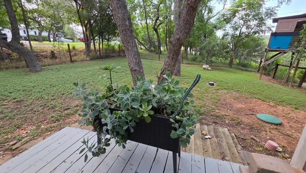 2802 De Soto Dr - Photo 26