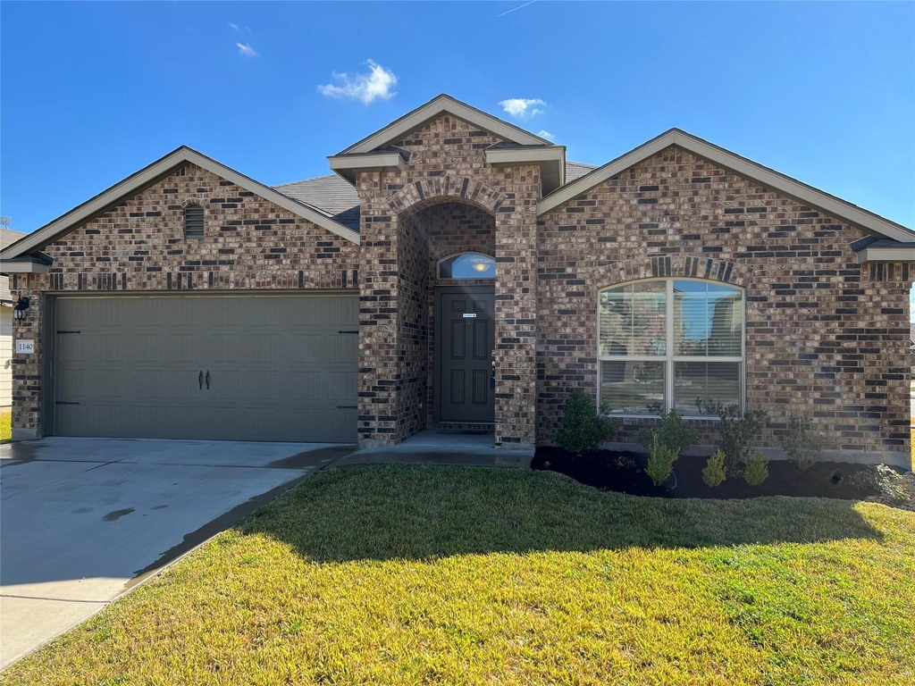 1140 Ibis Falls Loop - Photo 0