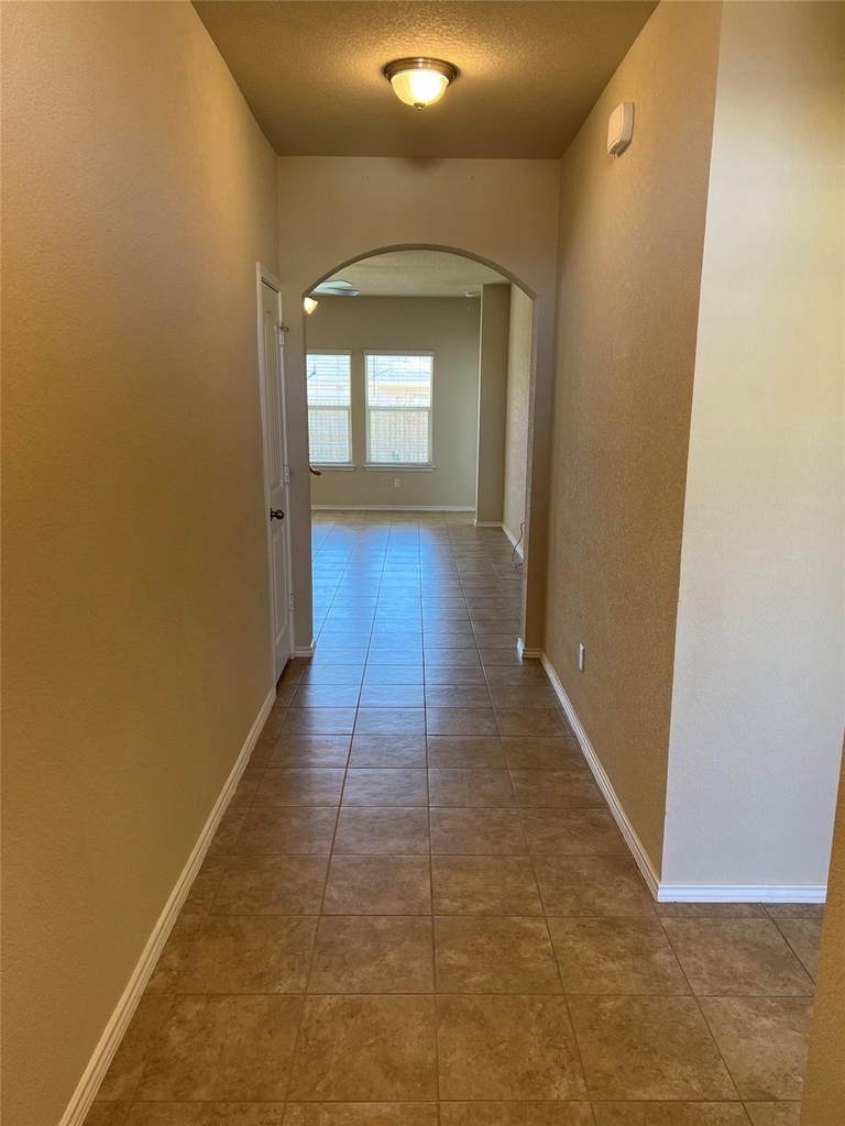 1140 Ibis Falls Loop - Photo 4