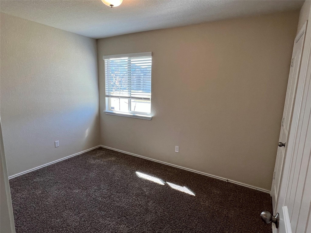 1140 Ibis Falls Loop - Photo 2