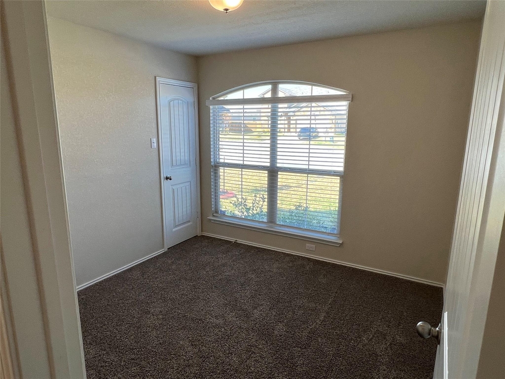 1140 Ibis Falls Loop - Photo 1