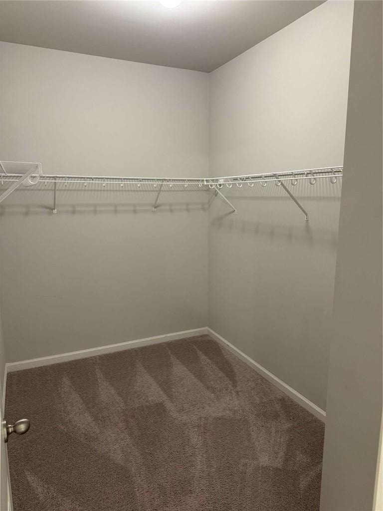 4472 Beechnut View - Photo 30
