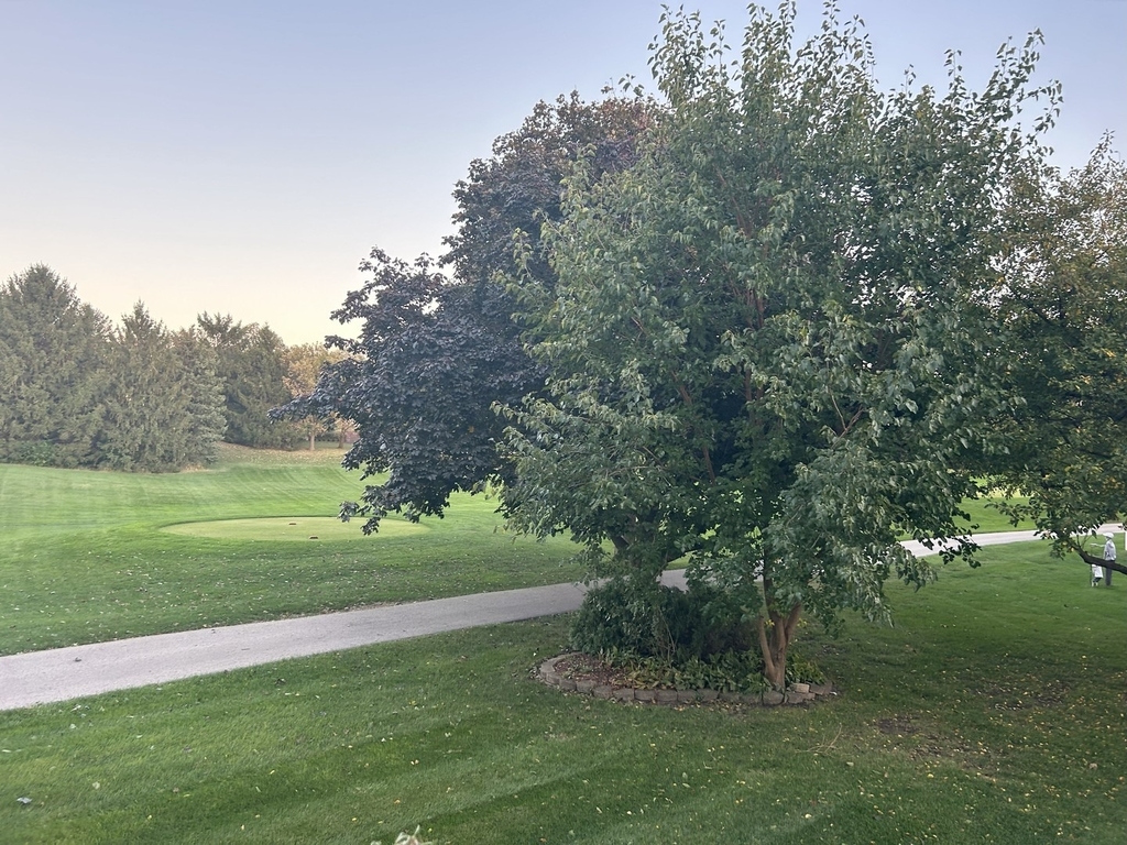 2361 Legacy Drive - Photo 2
