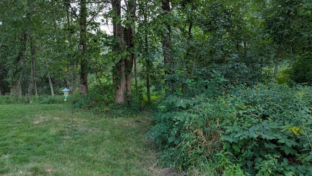 4 Lorraine - Photo 26