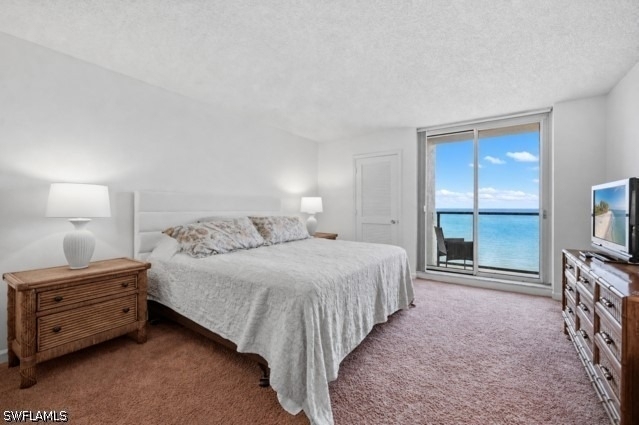 4901 Gulf Shore Boulevard N - Photo 19
