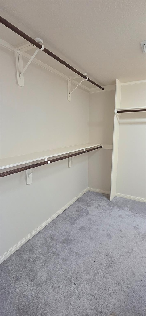 2202 Drake Falls Drive - Photo 26