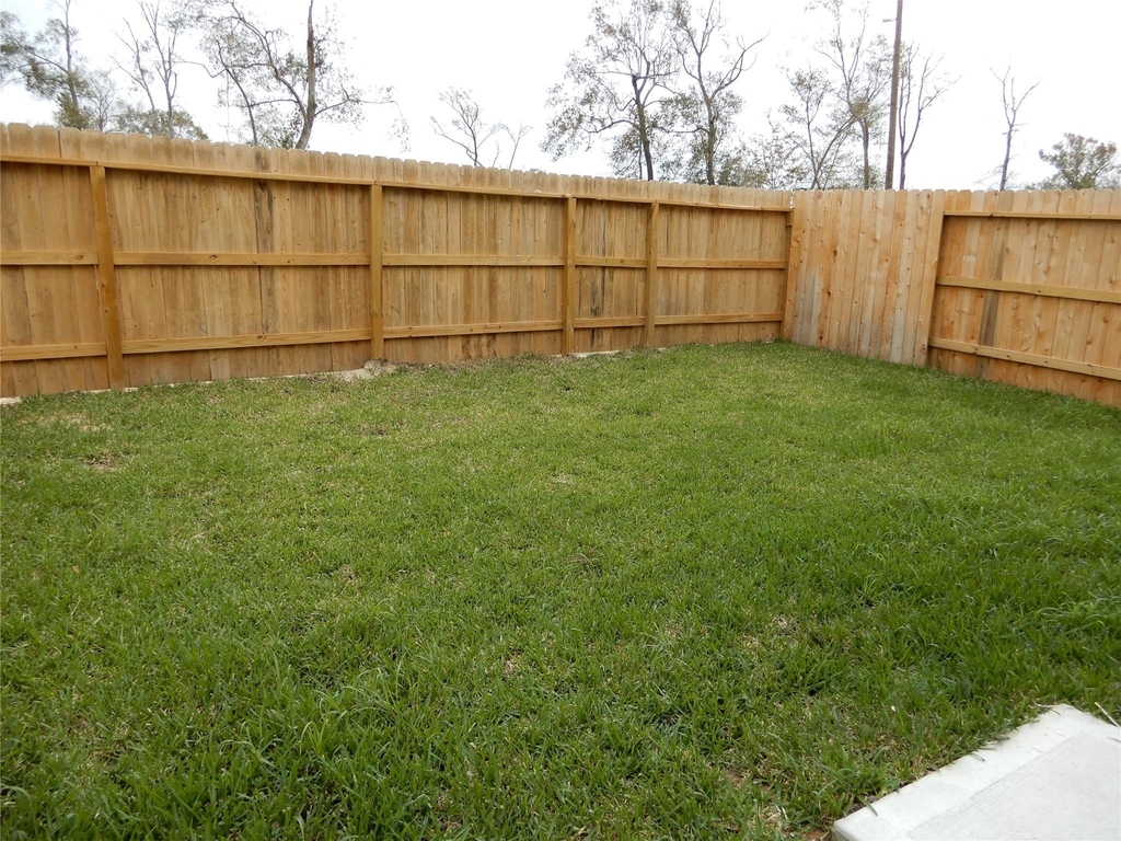 21369 Carosella Drive - Photo 12