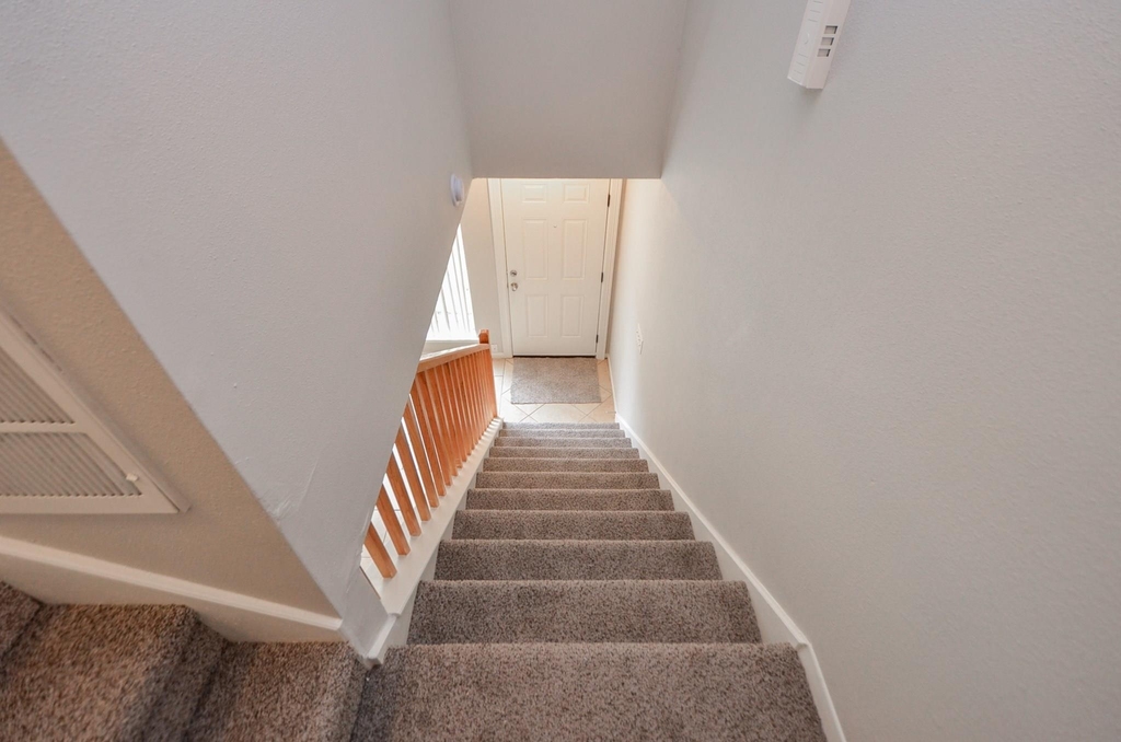 1853 Witte Road Road - Photo 27
