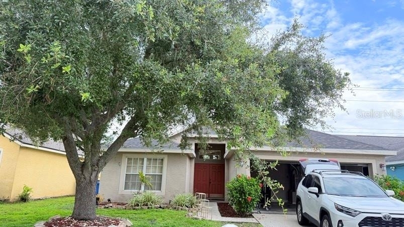 1120 Vinetree Drive - Photo 0