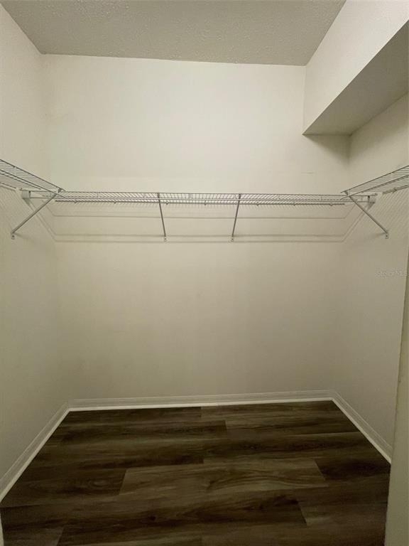 12509 Cavalier Court - Photo 11