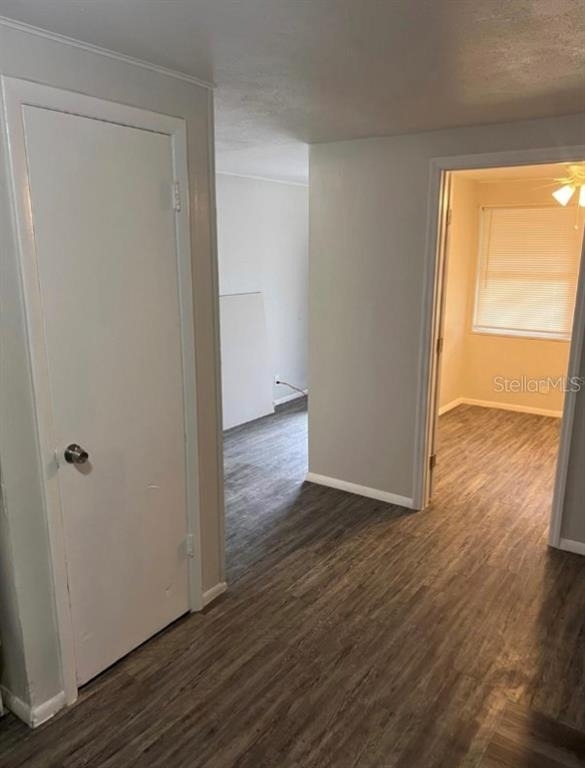 8123 N Alaska Street - Photo 4