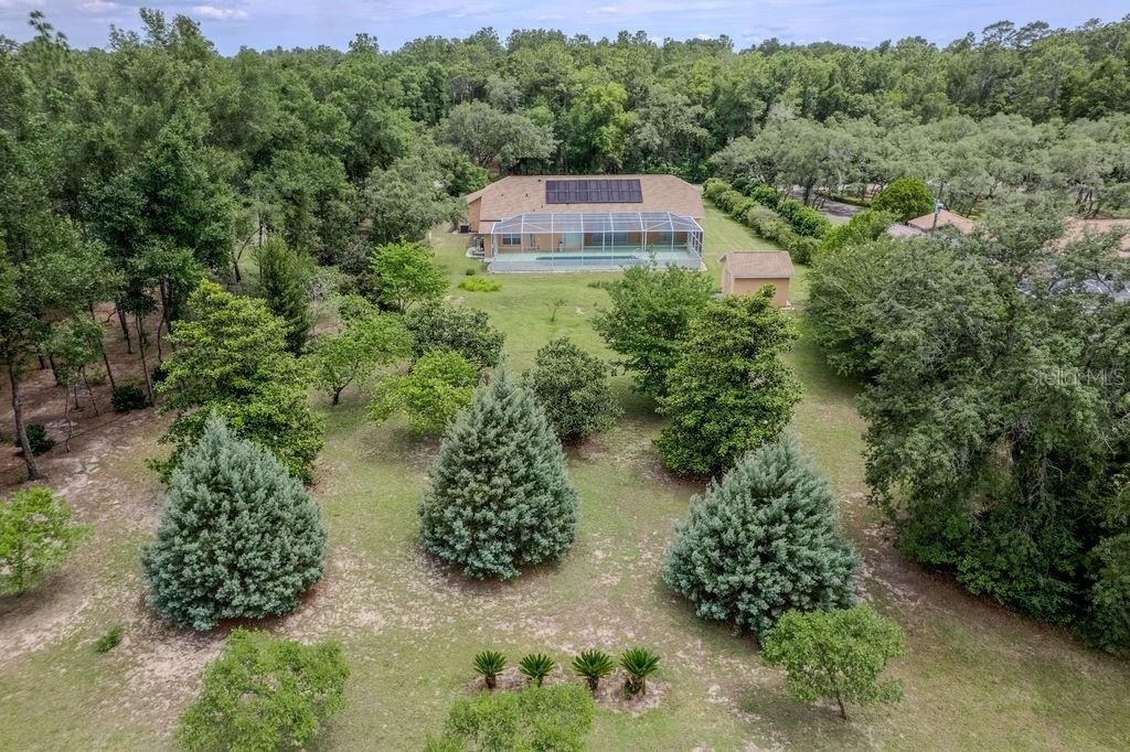 20811 Sw 81st Loop - Photo 6