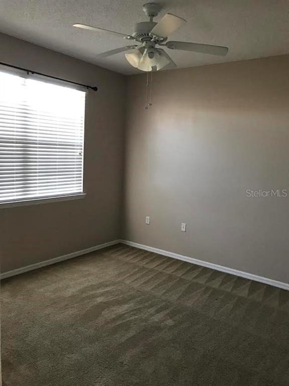 10831 Windsor Walk Drive - Photo 9