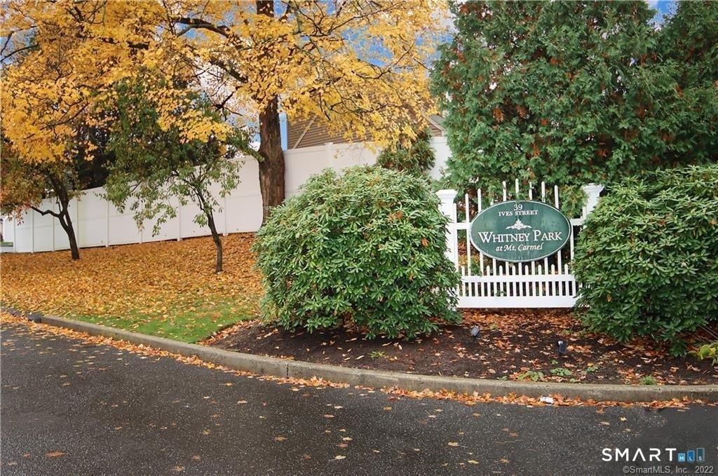 39 Ives Street - Photo 28