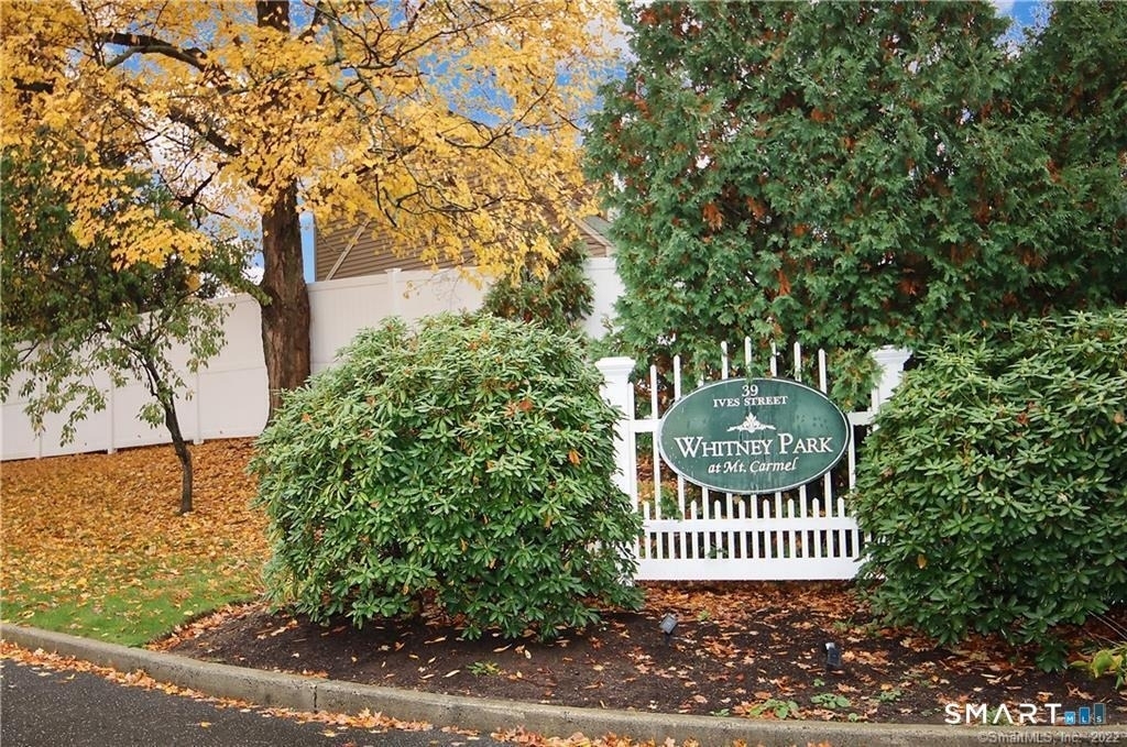 39 Ives Street - Photo 26