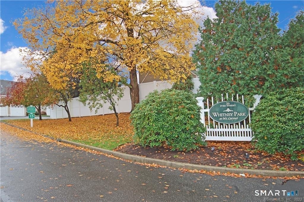 39 Ives Street - Photo 27