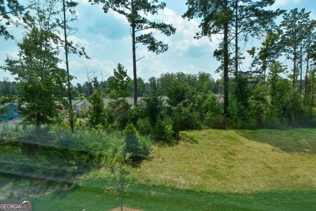 54 Umber Lane - Photo 45