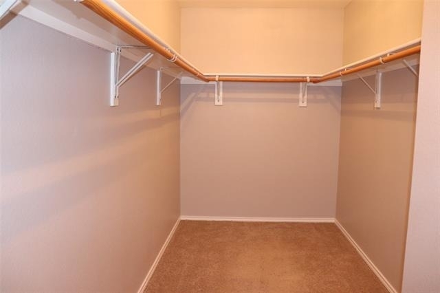 2304 Heads And Tails Lane - Photo 22