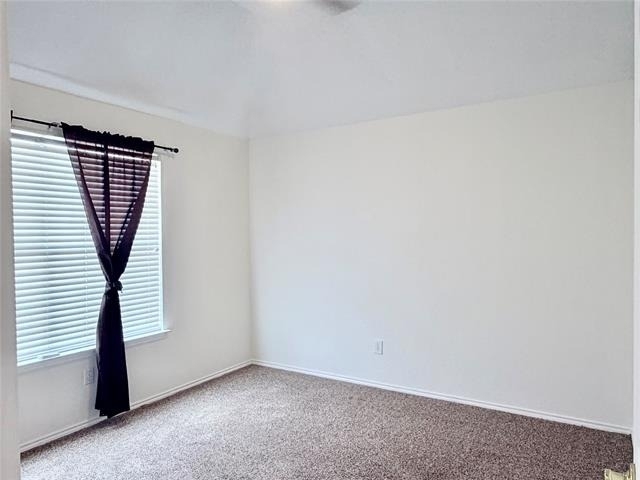 10109 Samantha Drive - Photo 22