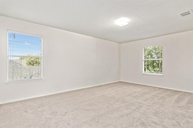 11613 Snyder Drive - Photo 10