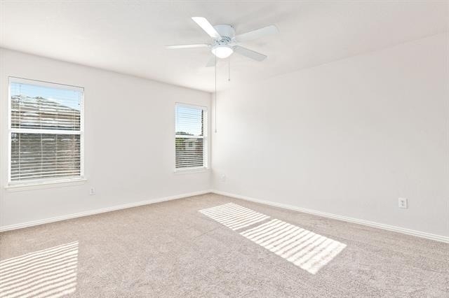 11613 Snyder Drive - Photo 12