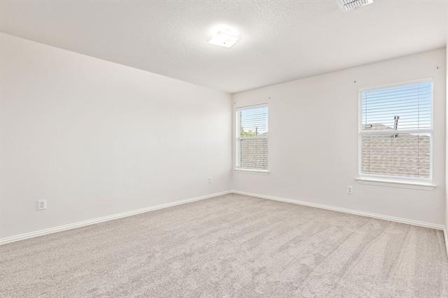 11613 Snyder Drive - Photo 11