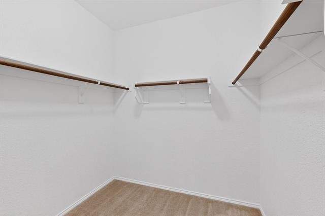 2409 Buelingo Lane - Photo 11