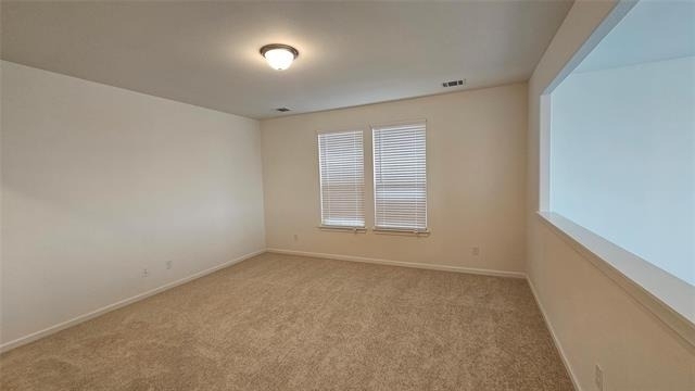1215 Stagecoach Trail - Photo 15