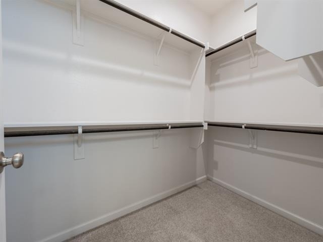 9316 Paintbrush Drive - Photo 11