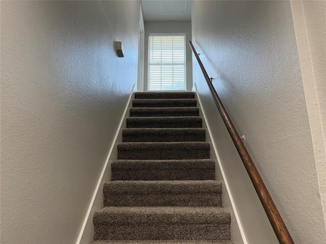 12905 Kleberg Road - Photo 14