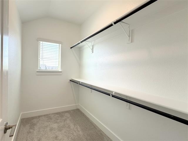 3180 Misty Forest Way - Photo 17