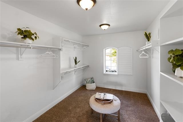 3921 Cameron Lane - Photo 30