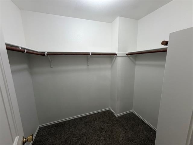 12842 Cowper Drive - Photo 9