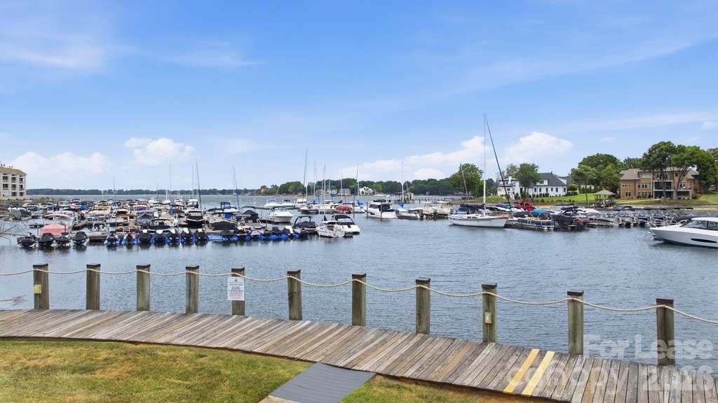 18865 Vineyard Point Lane - Photo 21