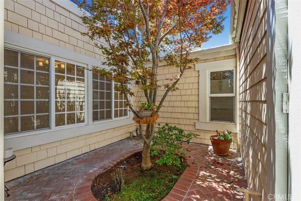 25 Candlebush - Photo 2