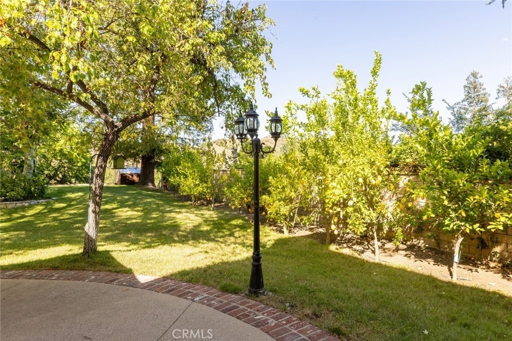 29155 Old Mill Creek - Photo 69