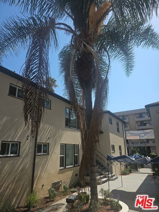 537 S Catalina Street - Photo 4