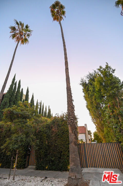 1019 N Orange Grove Avenue - Photo 35