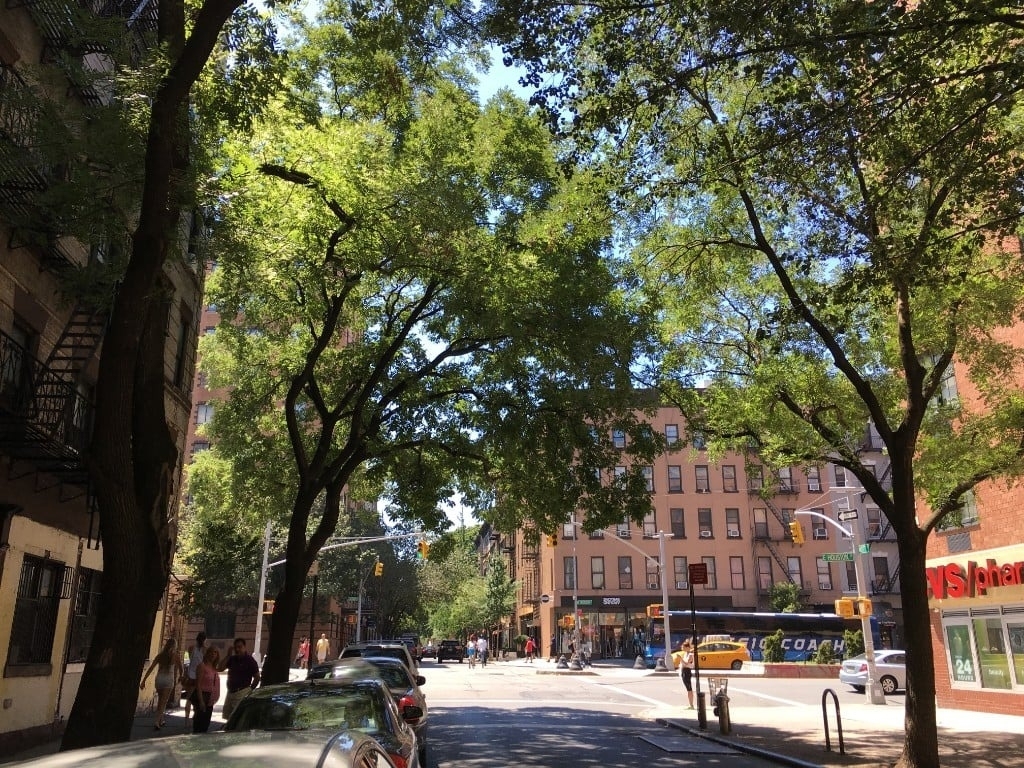 306 Mott Street - Photo 7