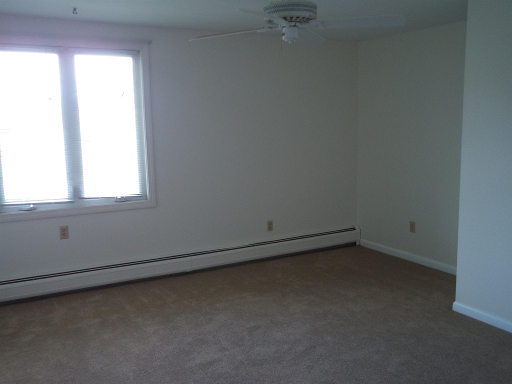 387 Main - Photo 15