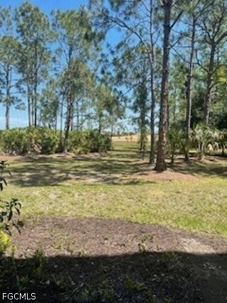 10800 Palazzo Way - Photo 12