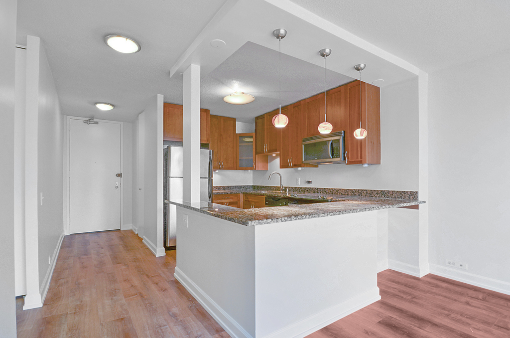 405 N Wabash Avenue - Photo 3