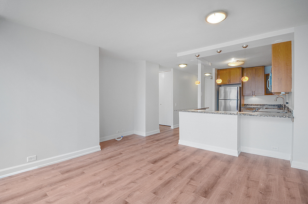405 N Wabash Avenue - Photo 4